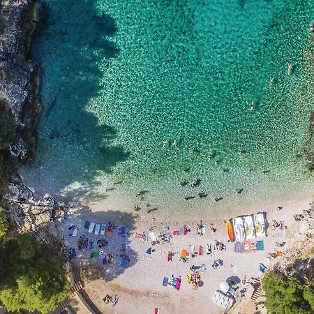 Beautiful In With Wifi * Galižana